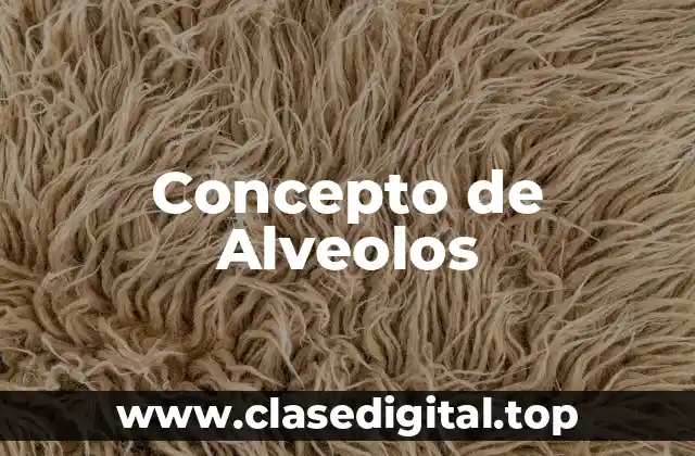 Concepto de Alveolos