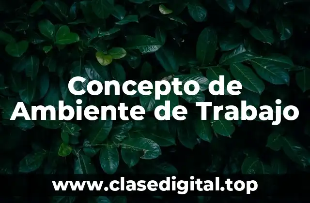 📗 Concepto de Ambiente de Trabajo