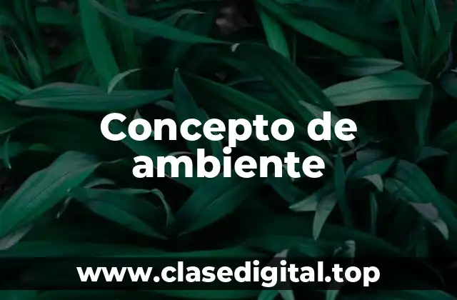 📗 Concepto de Ambiente