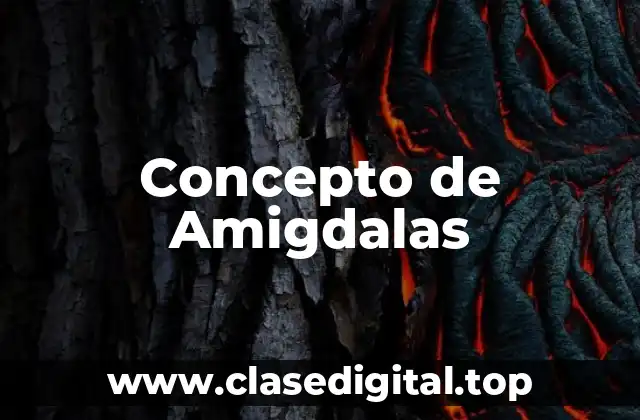 Concepto de Amigdalas