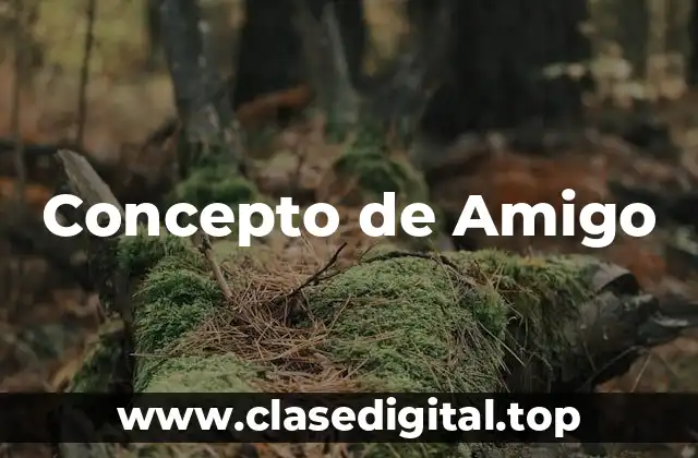 Concepto de Amigo