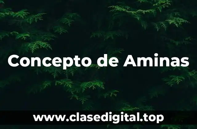 Concepto de Aminas