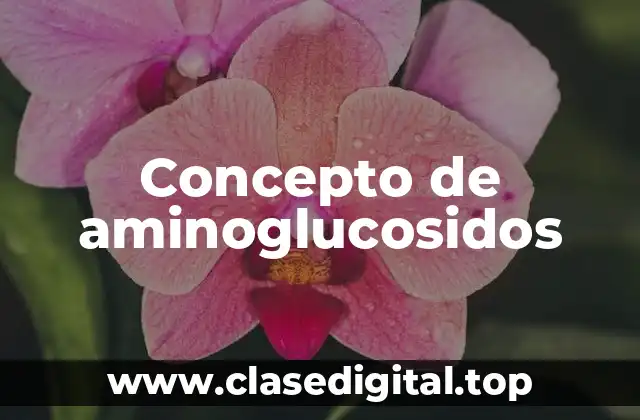 Concepto de aminoglucosidos