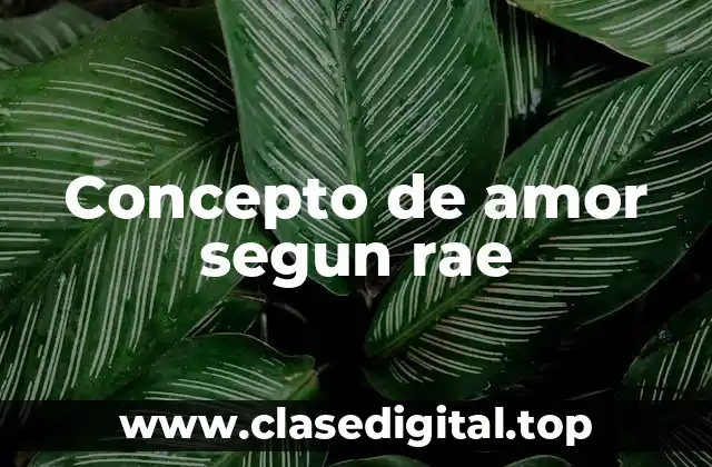 Concepto de amor segun rae