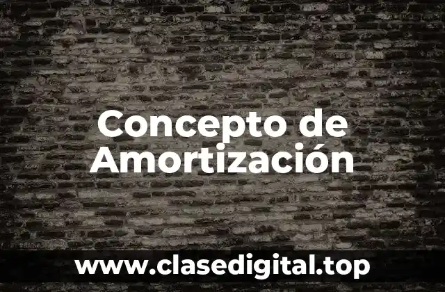 Concepto de Amortización