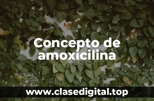 Concepto de amoxicilina