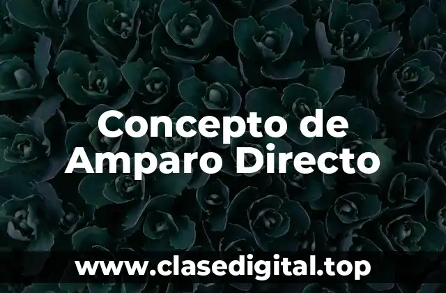 Concepto de Amparo Directo