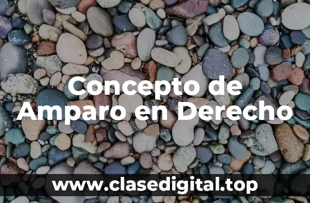 Concepto de Amparo en Derecho