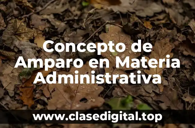 Concepto de Amparo en Materia Administrativa