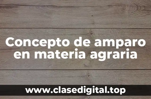 Concepto de amparo en materia agraria