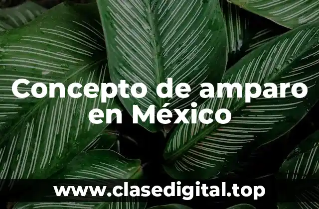 Concepto de amparo en México