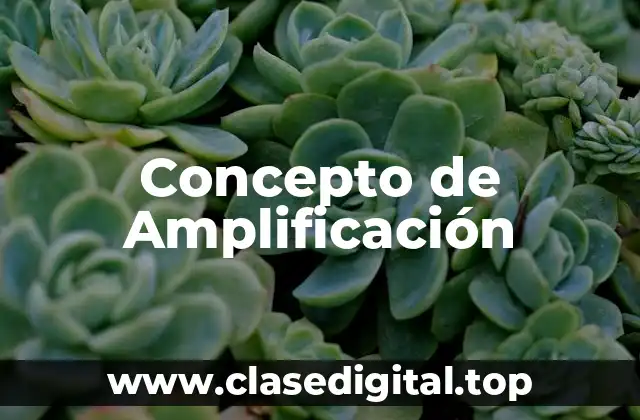 Concepto de Amplificación