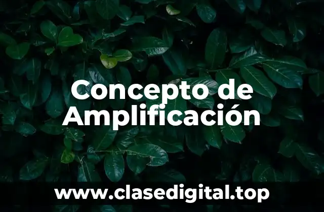 Concepto de Amplificación