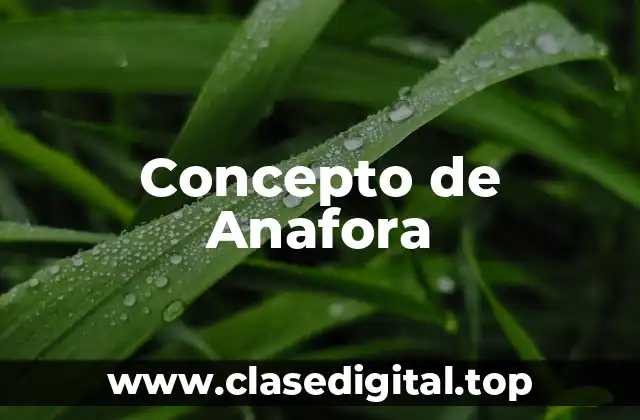 Concepto de Anafora