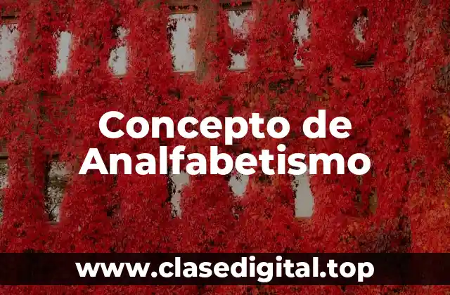 Concepto de Analfabetismo