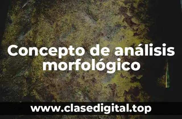 Concepto de análisis morfológico