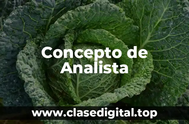 Concepto de Analista