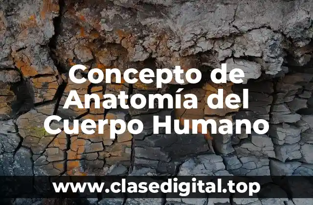 Concepto de Anatomía del Cuerpo Humano