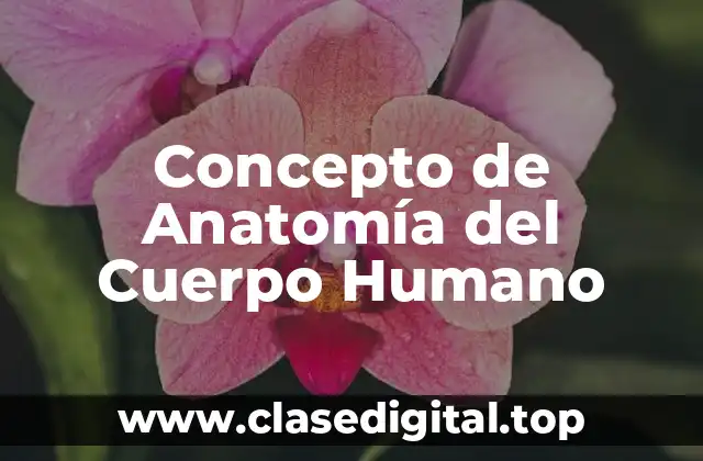 Concepto de Anatomía del Cuerpo Humano