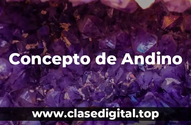 Concepto de Andino