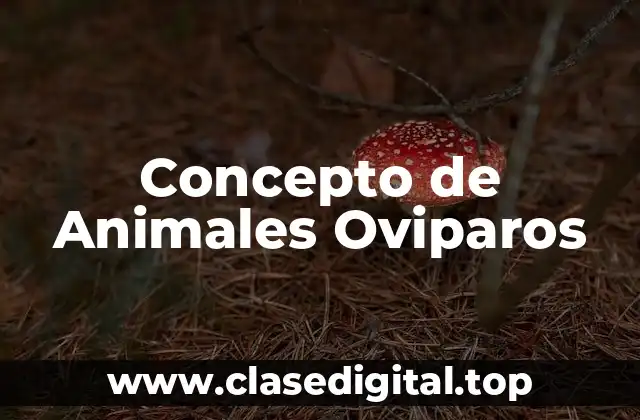 Concepto de Animales Oviparos