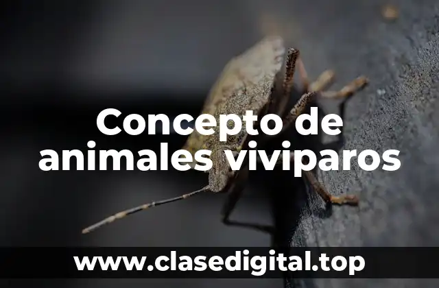 Concepto de animales viviparos