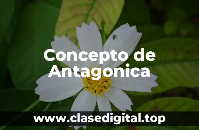 📗 Concepto de Antagonica