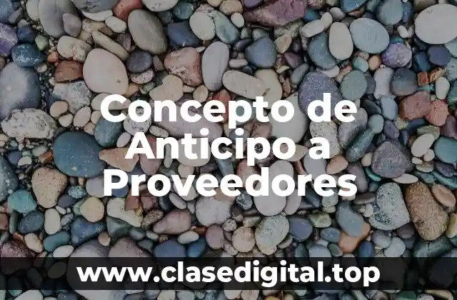 Concepto de Anticipo a Proveedores