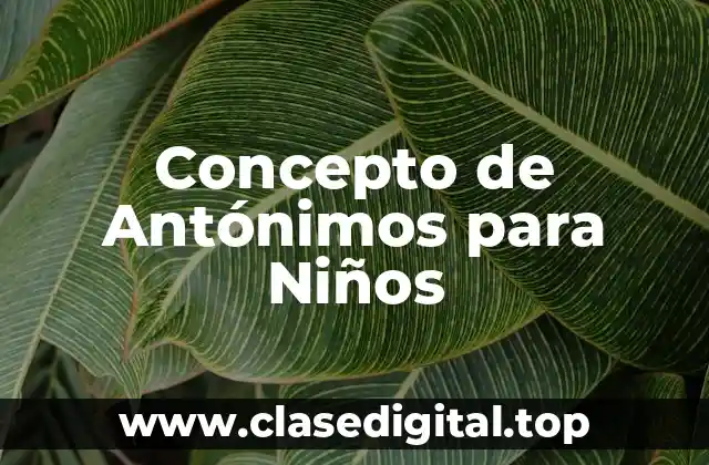 📗 Concepto de Antónimos