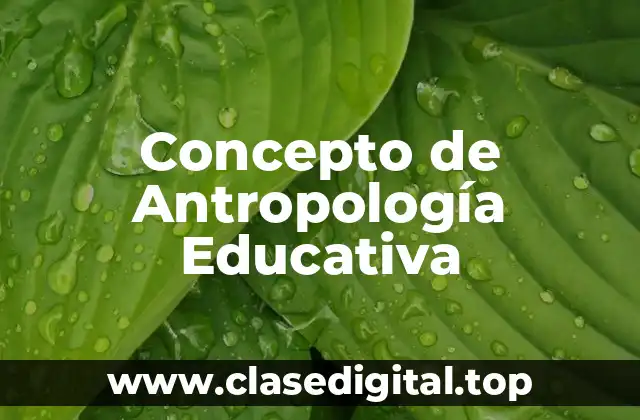 Concepto de Antropología Educativa