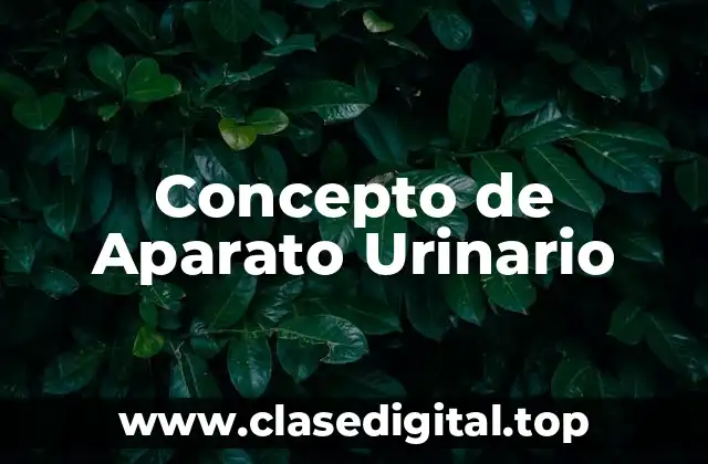 Concepto de Aparato Urinario