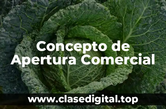 Concepto de Apertura Comercial