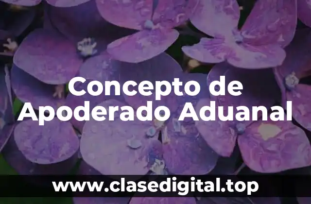 Concepto de Apoderado Aduanal