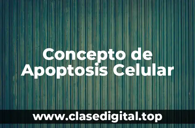 Concepto de Apoptosis Celular