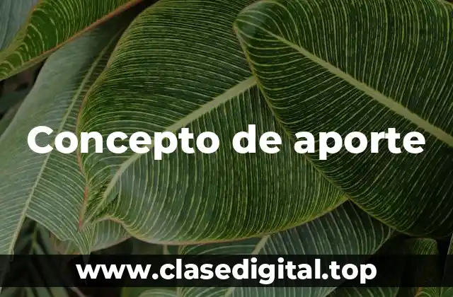 Concepto de aporte