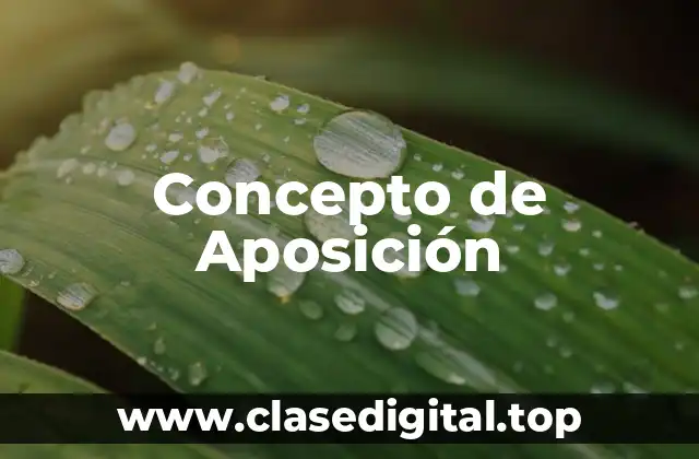 Concepto de Aposición