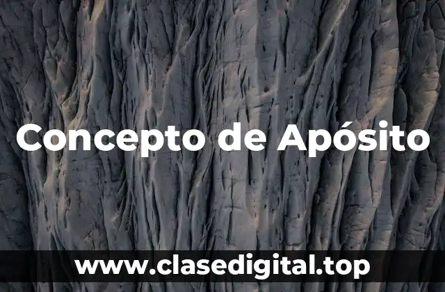 Concepto de Apósito
