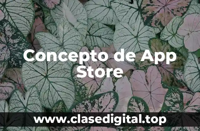 Concepto de App Store
