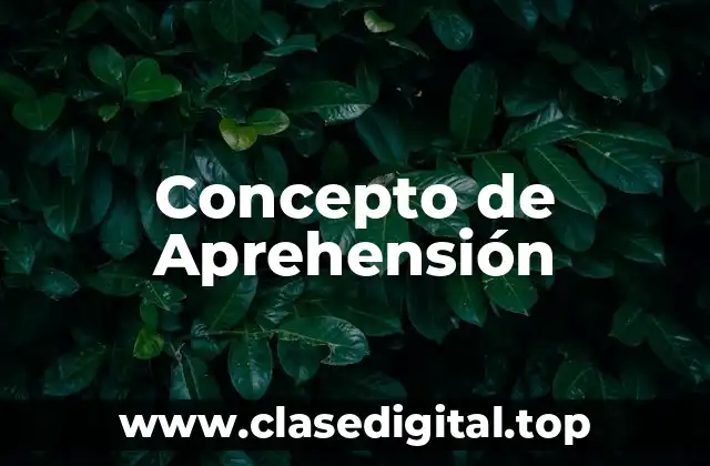 Concepto de Aprehensión