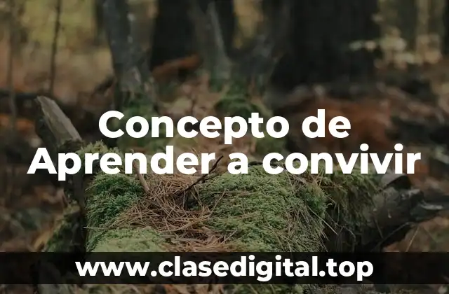 Concepto de Aprender a convivir