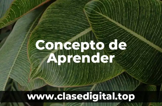❄️ Concepto de Aprender