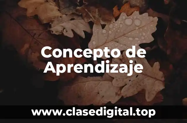 Concepto de Aprendizaje
