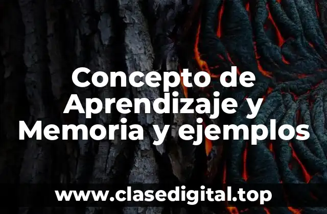 Concepto de Aprendizaje y Memoria y ejemplos