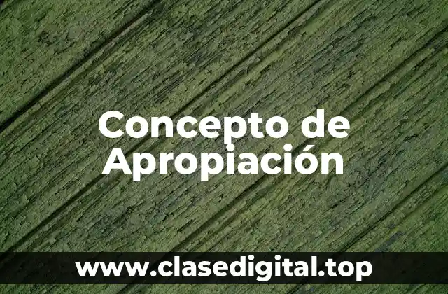 📗 Concepto de Apropiación