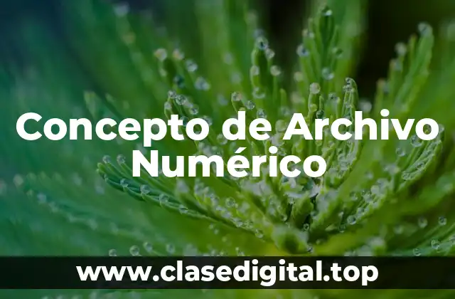 Concepto de Archivo Numérico