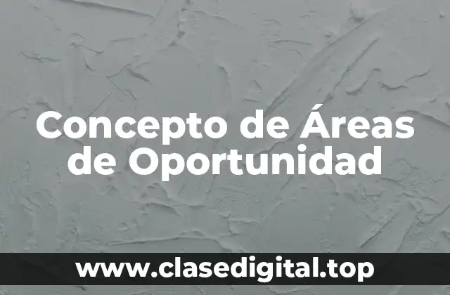 Concepto de Áreas de Oportunidad