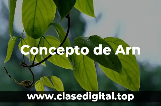 Concepto de Arn