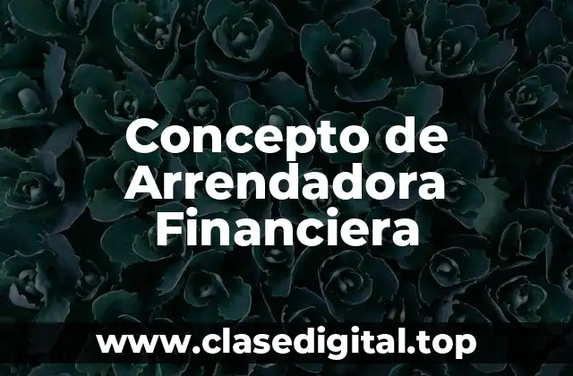 Concepto de Arrendadora Financiera