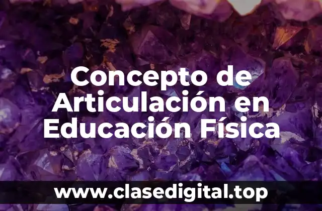 Concepto de Articulación en Educación Física