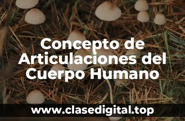 Concepto de Articulaciones del Cuerpo Humano
